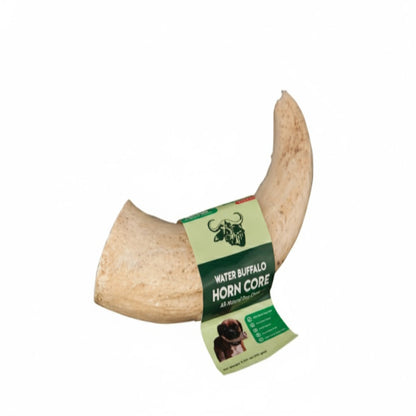 WATER BUFFALO HORN
