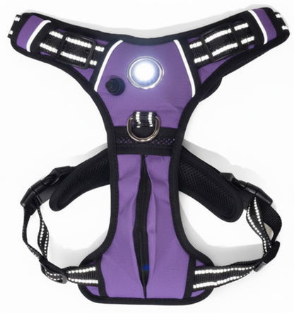Headlight Harness, Dog Harness with Built In LED Light