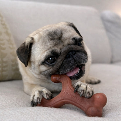 Nylabone Strong Chew Wishbone Dog Chew Toy Made with Real Bacon, Small (1 ct)